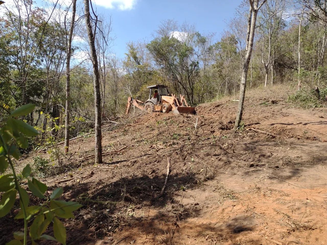 Lote  - Foto 4