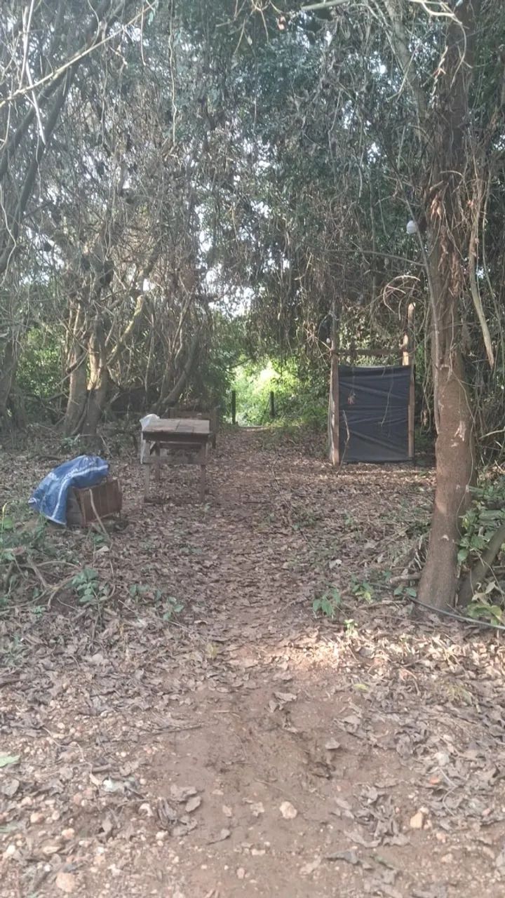 Pesqueiro no Rio Miranda - Foto 2