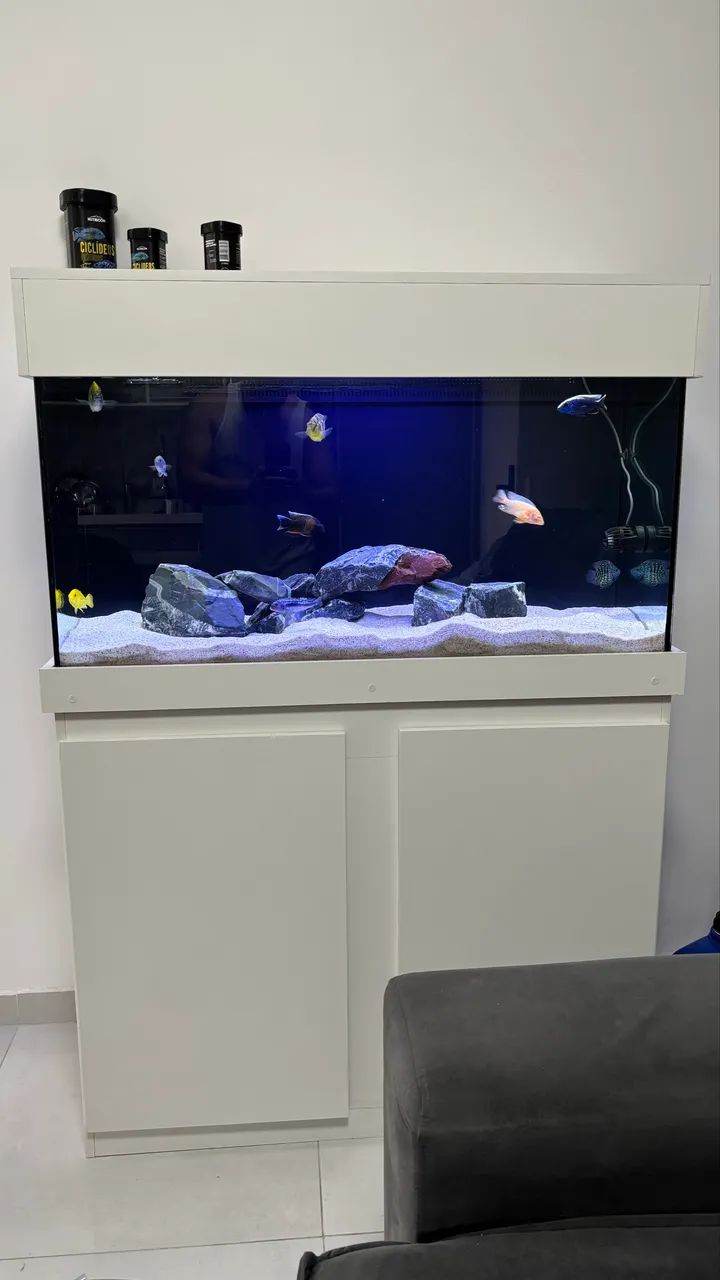 Aquário 200 litros com sump completo - Foto 2