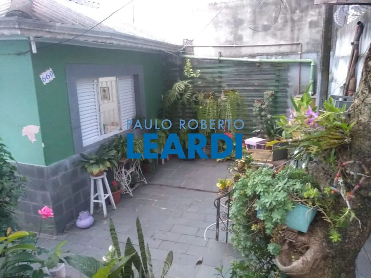 AREA - SAÚDE - SP