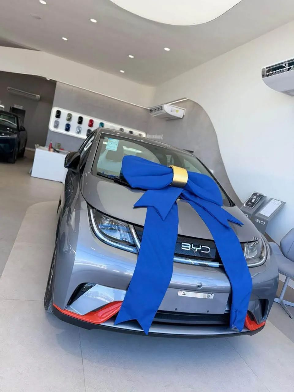 BYD Dolphin EV (Elétrico) 2027 - Foto 2