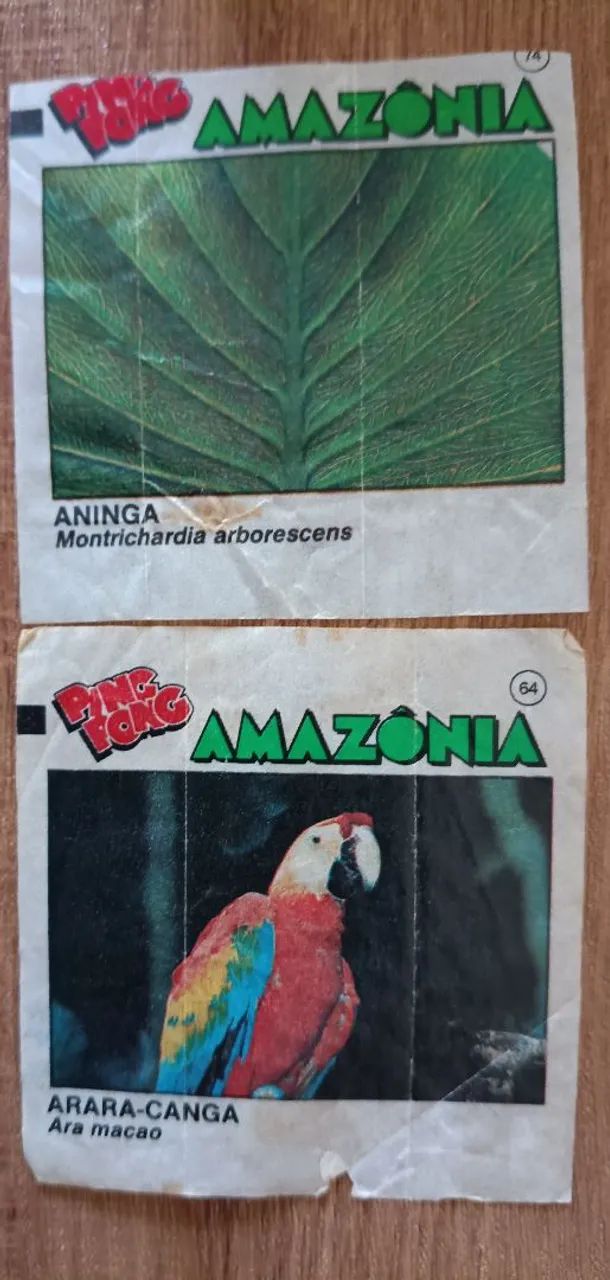 Figurinhas ping pong amazônia  - Foto 3