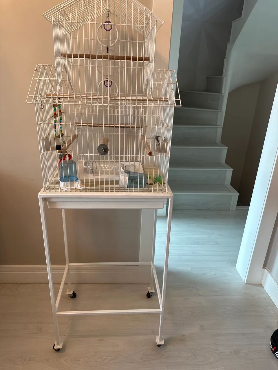 VIVEIRO PARA CALOPSITA PAPAGAIO COM PEDESTAL