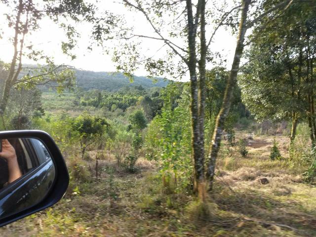 Fazenda para plantio - Foto 10