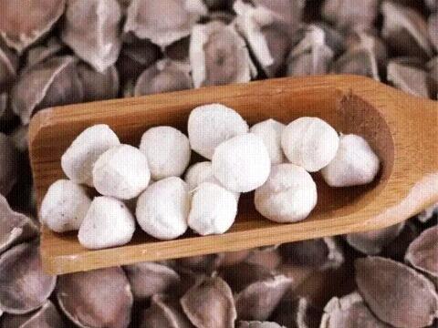 Semente de Moringa Oleifera orgânica