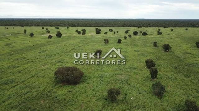 Área rural 47.000 ha - Dupla Aptidão - Foto 2