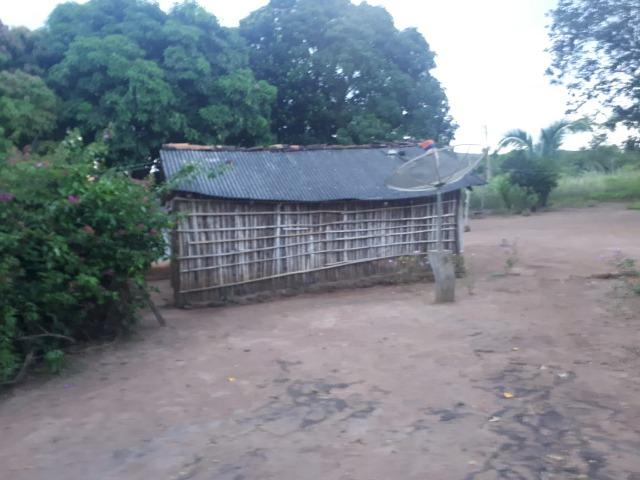 Sitio próximo do manso - Foto 20