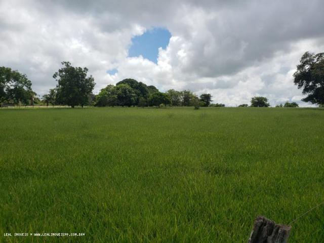 Sítio para venda em martinópolis, represa de martinopolis - Foto 9