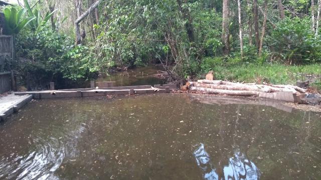 50 hectares a 25 km de castanhal por 250 mil zap * - Foto 4
