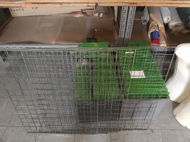 Lote para loja  - Foto 5