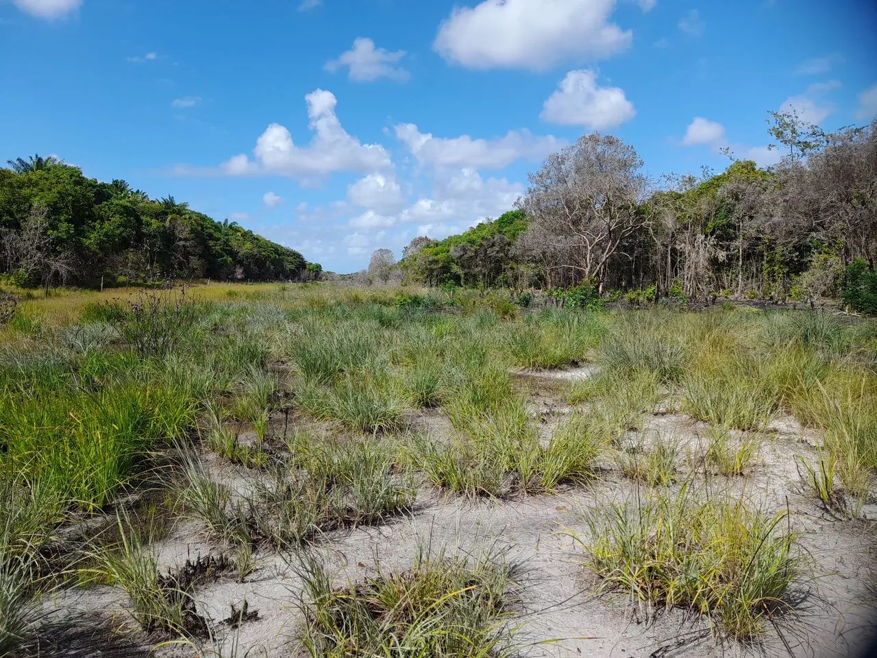 Terreno para chácara  - Foto 5