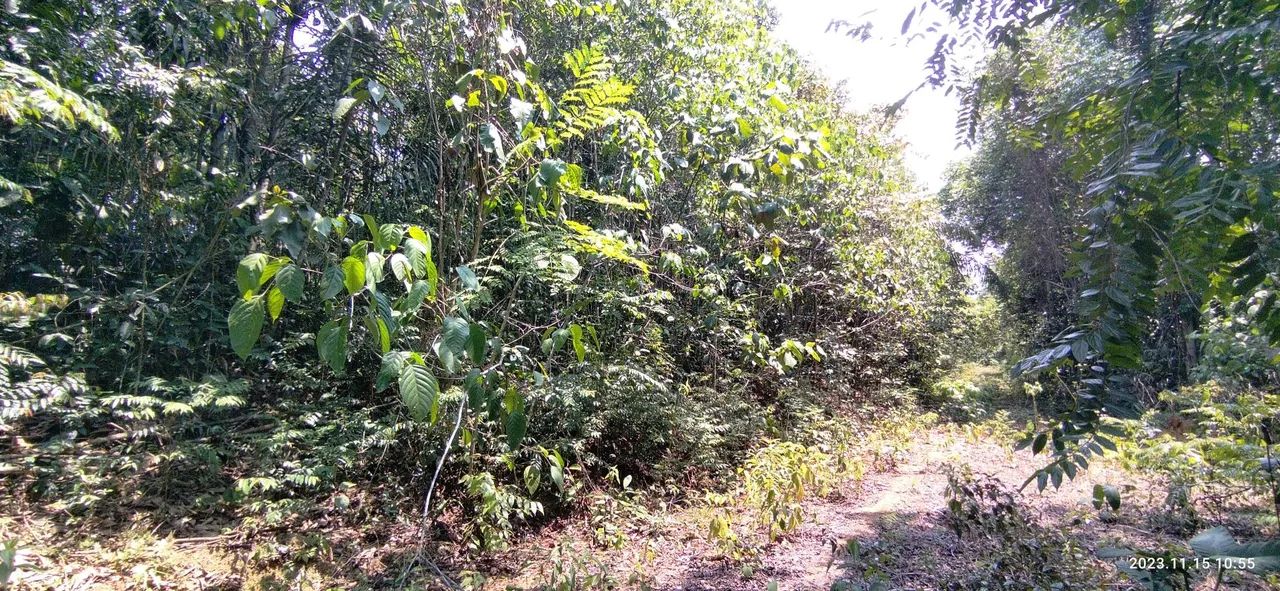 //Lote em Açutuba com 4 mil m2 - Foto 4
