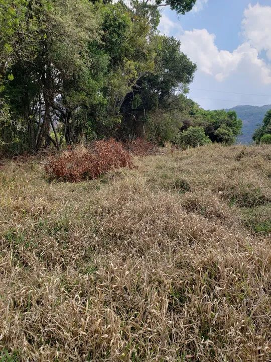 Vendo terreno de chacara em Caldas MG - Foto 10
