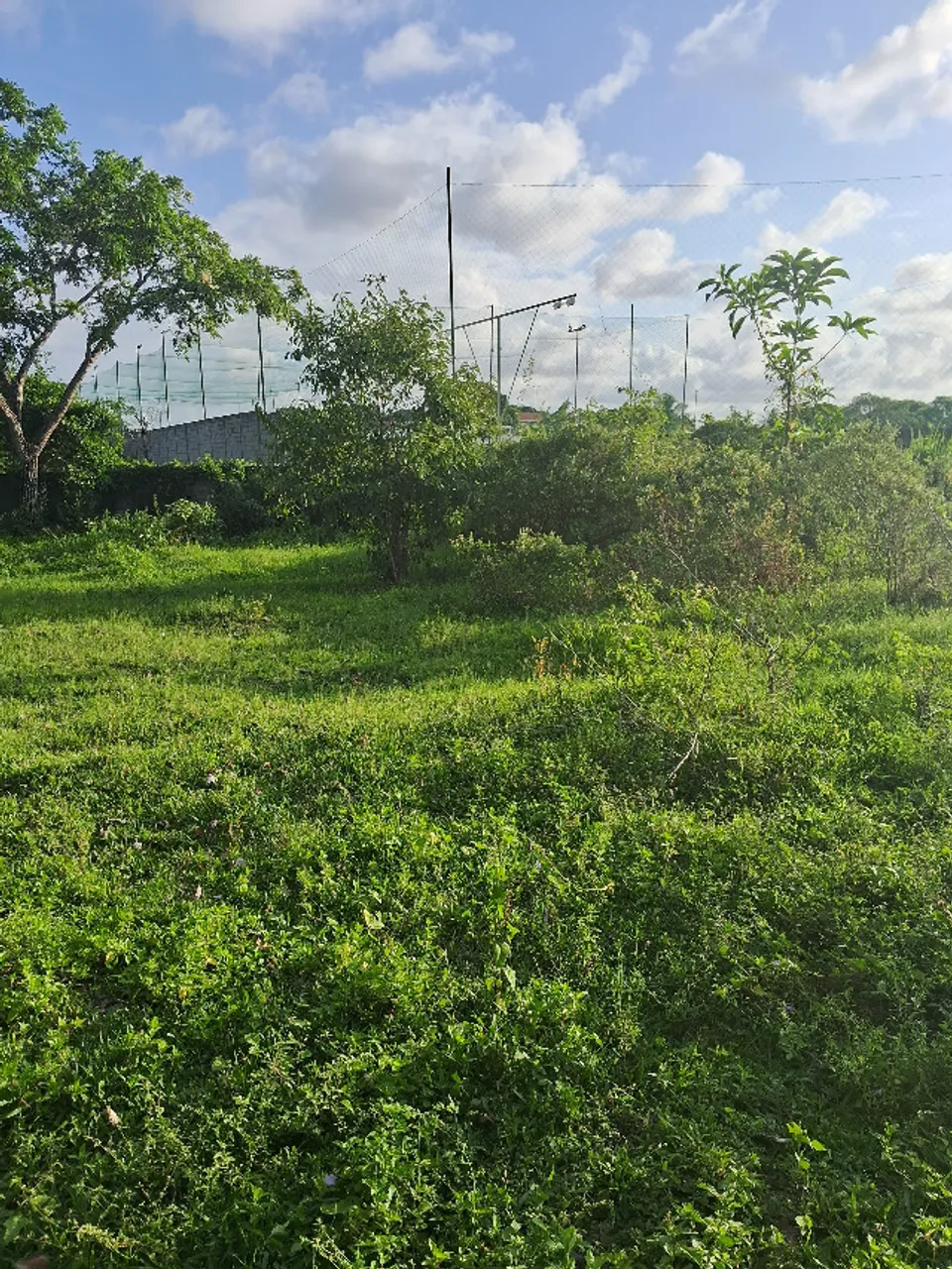 Terreno 150m² na Taiçoca em Nossa Senhora do Socorro