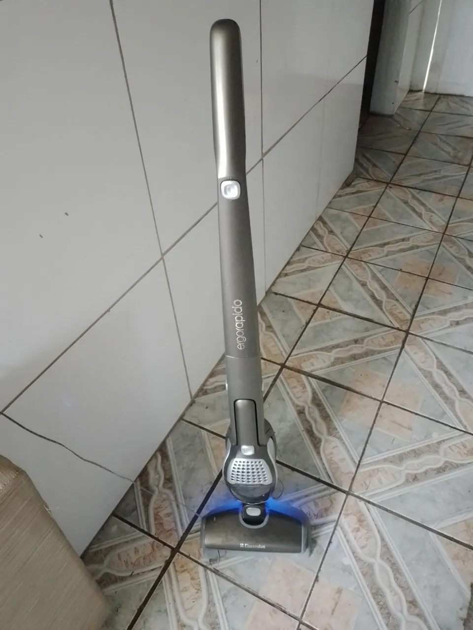 Aspirador de Pó Vertical Electrolux Ergorapido