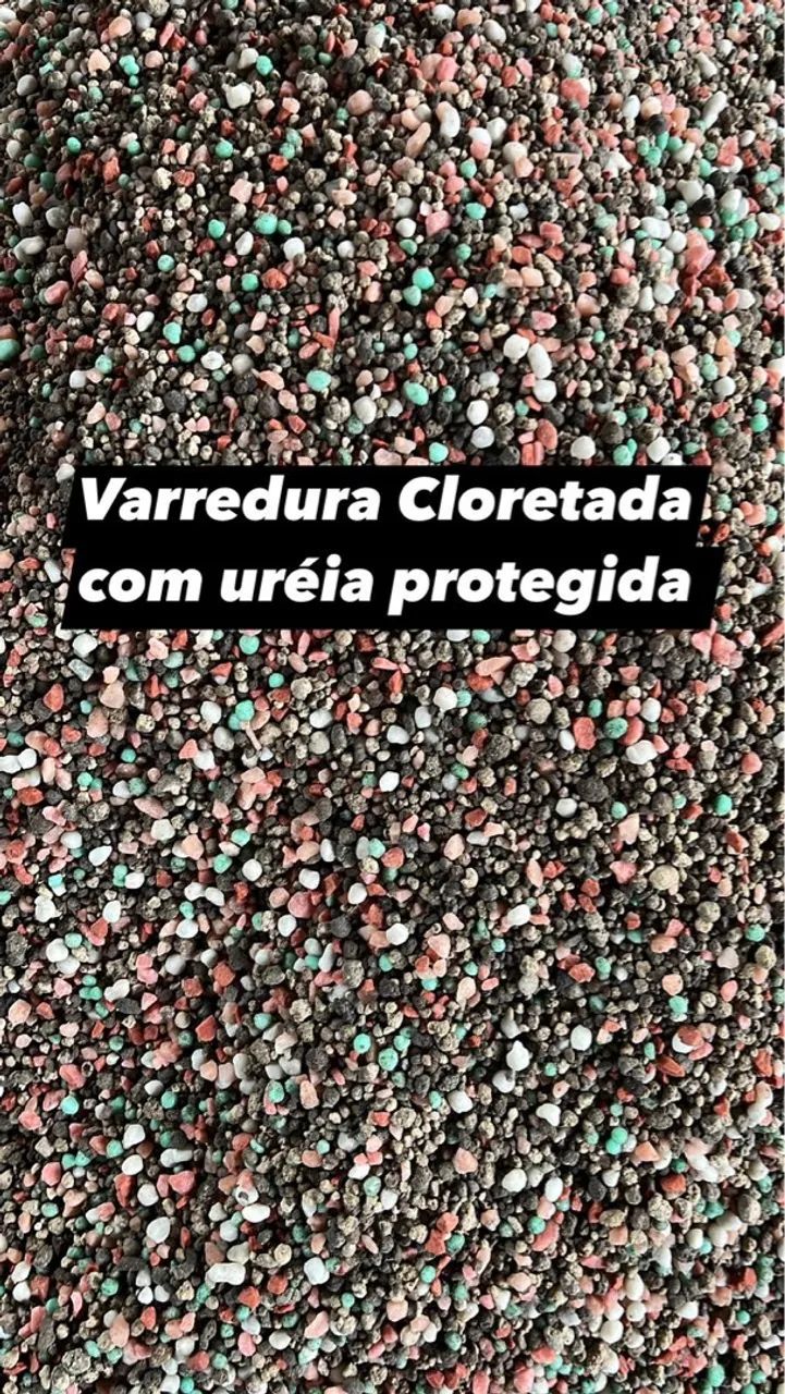 Varredura seca e granulada  - Foto 4