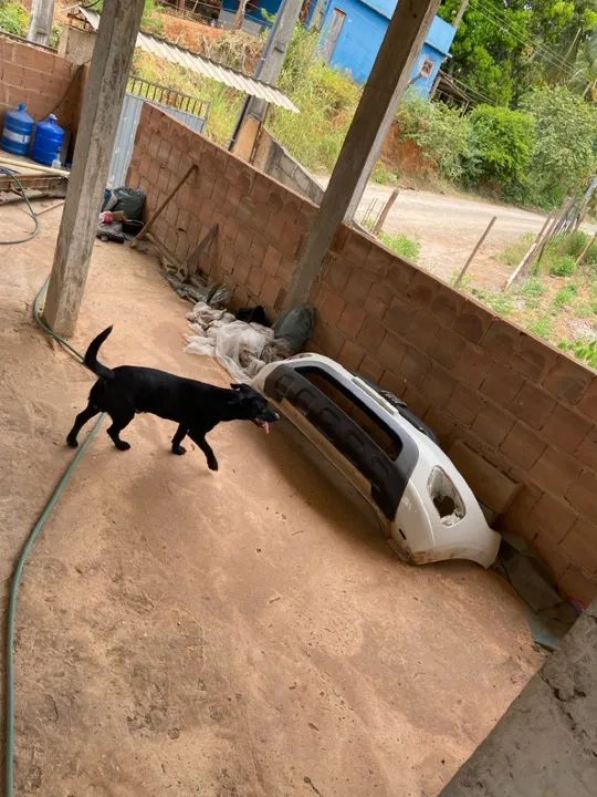 Aceito trocas Lage pronta e terreno para garagem - Foto 5