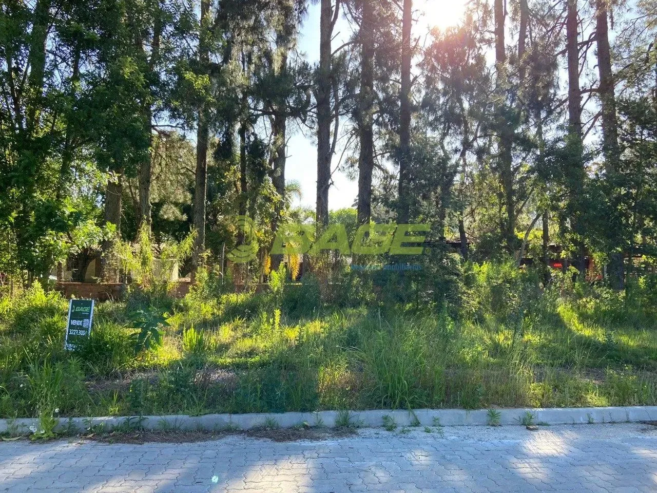 Excelentes lotes no Residencial Reserva Assumpção!