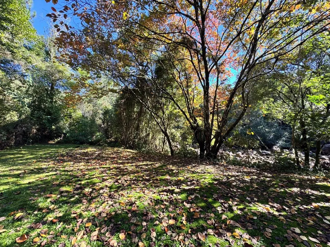 Linda Chácara na Vargem do Braço em Santo Amaro da Imperatriz - SC