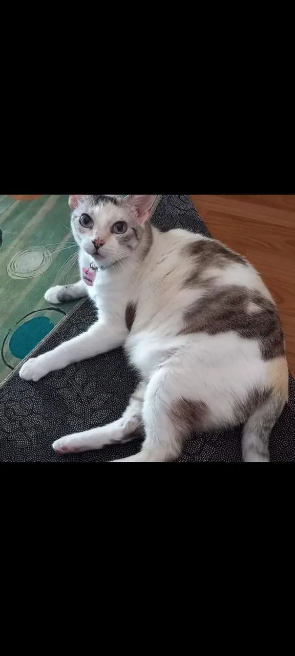 Doação conjunta  - Foto 2