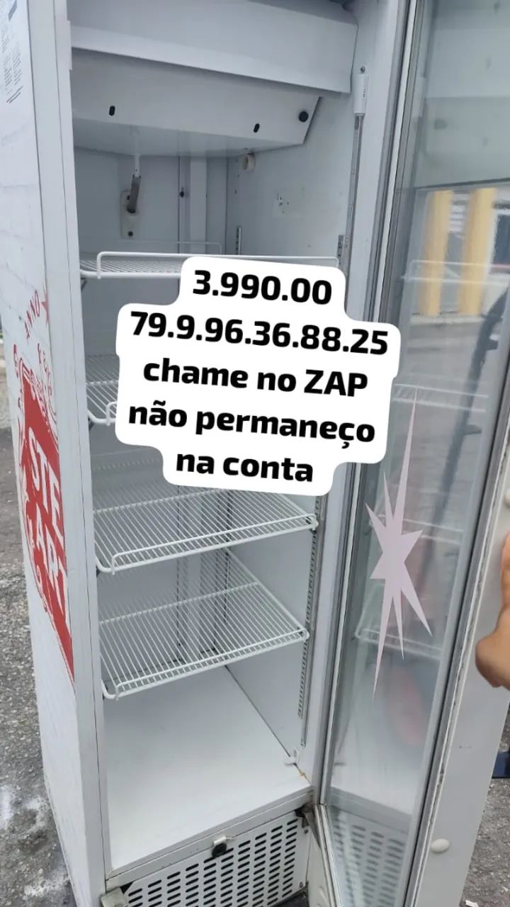 cervejeira expositora