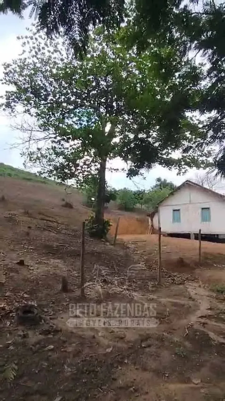 Imóvel para venda com 6050000 metros quadrados em Centro - Cardoso Moreira - RJ