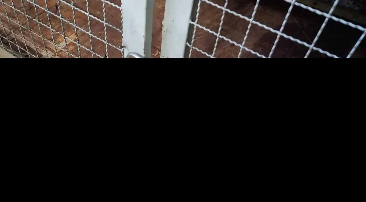 Portão de correr suspenso em inóx e tela  - Foto 4