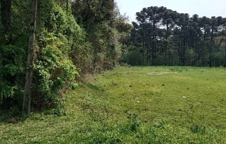 Venda de imóvel da (AABB) Pinhão (PR) - Foto 5