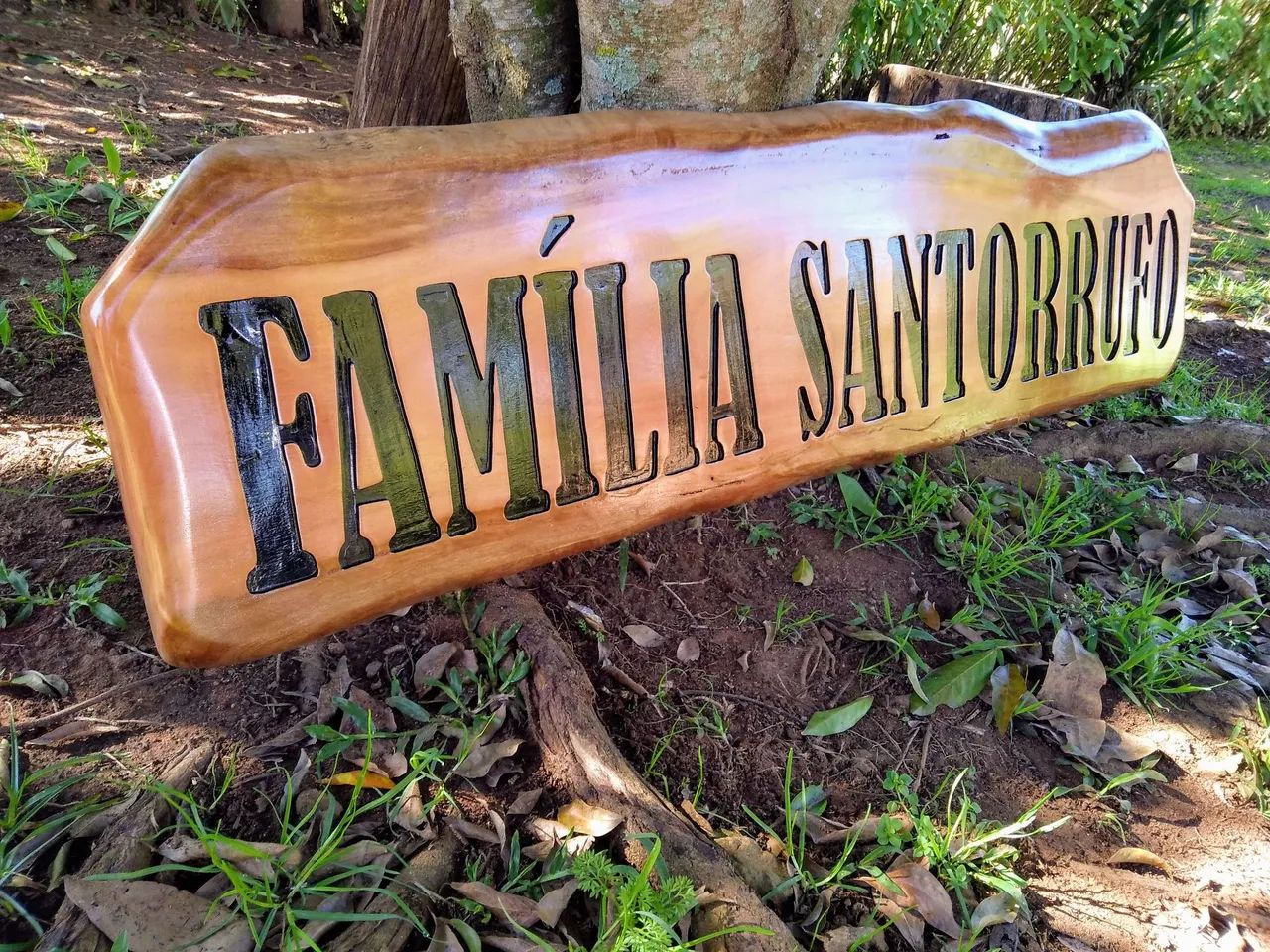 Placas personalizadas!!!64288877998979123