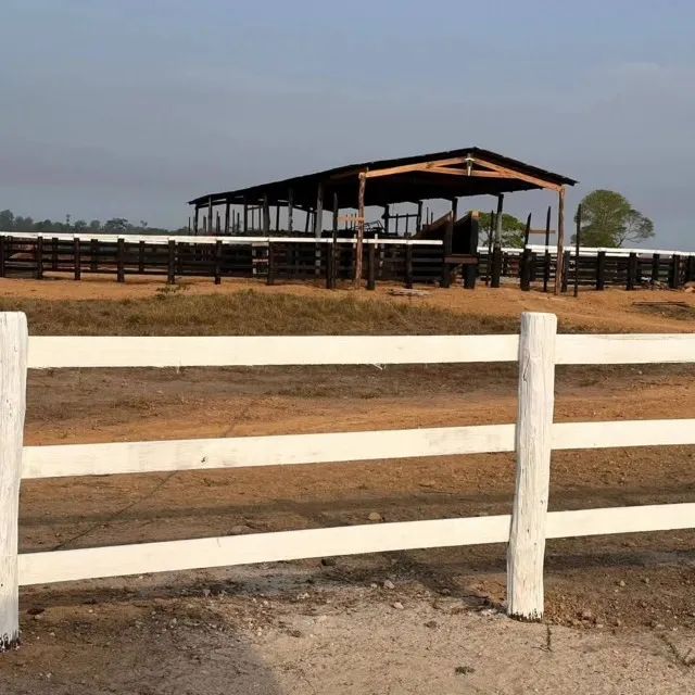 575  hectares dupla aptidão em Tailândia Pará documentada - Foto 2
