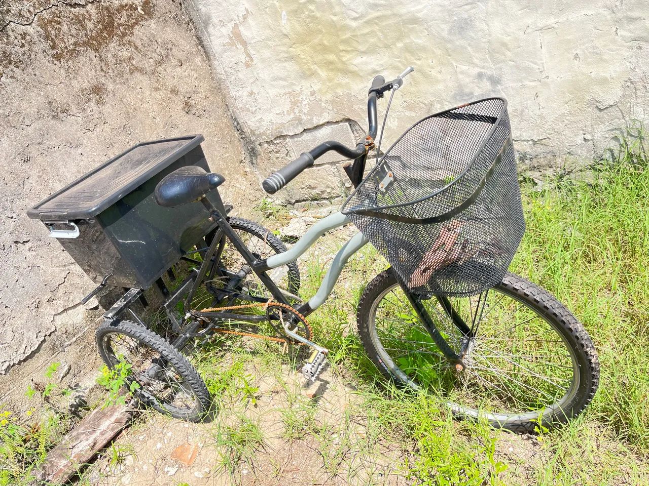Bicicleta triciclo 