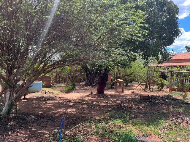 Alugo Chácara Mobiliada em Lagoinha - 1.800 m² - Foto 12