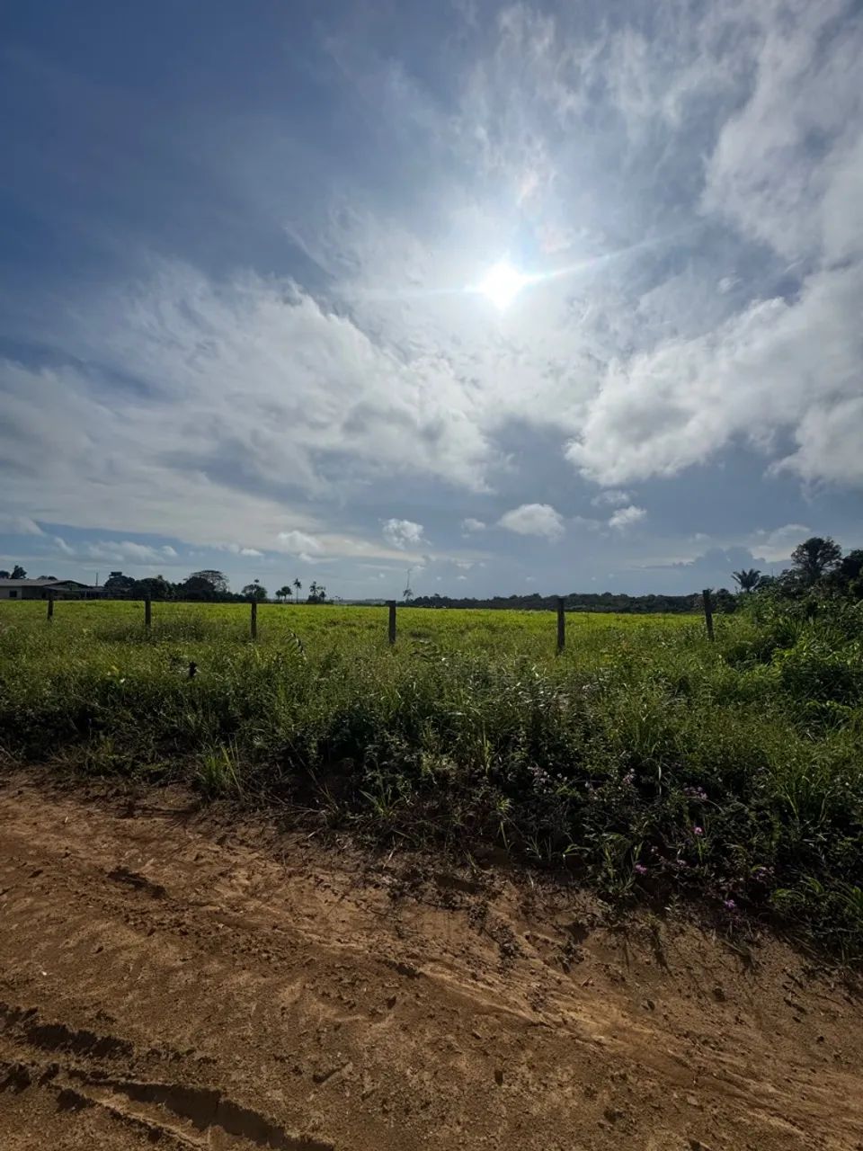 Fazenda à Venda no Porto Grande, Macapá:* - Foto 3