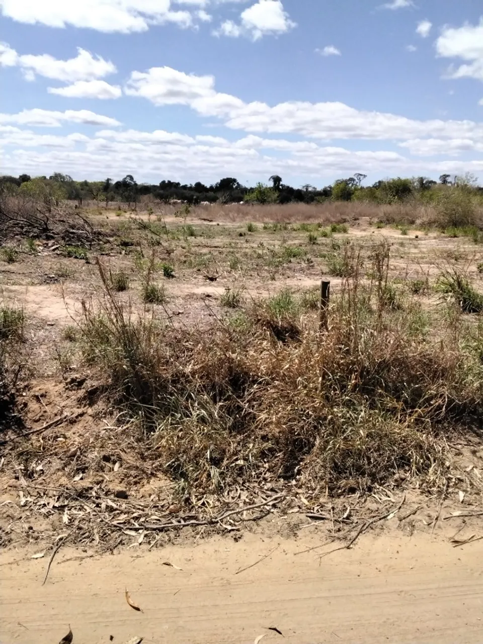 Excelente Terreno em LINHARES ES à 1,5 km da BR 101