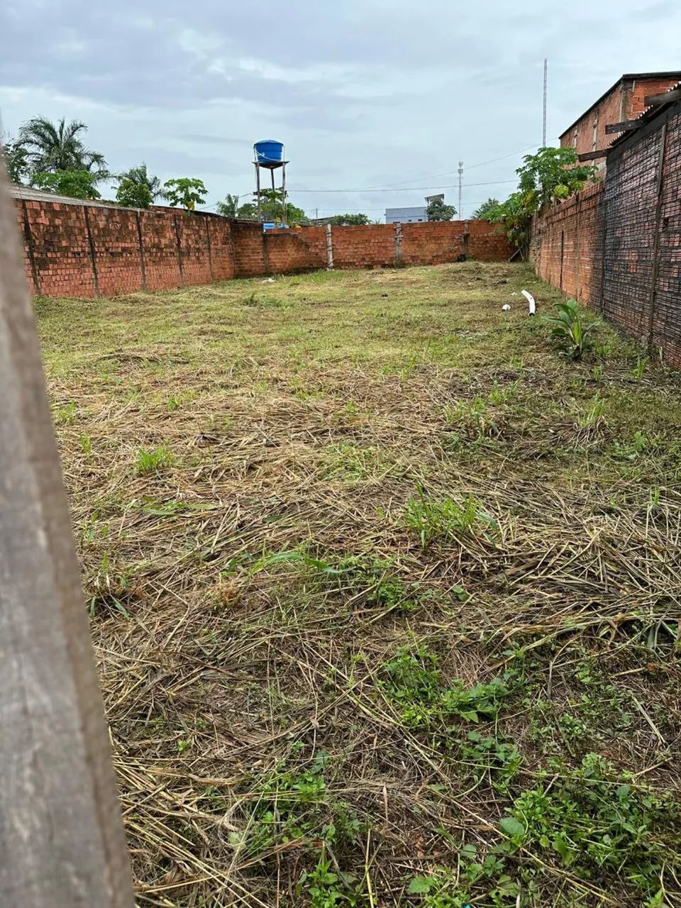 Foto - Macapá - Central