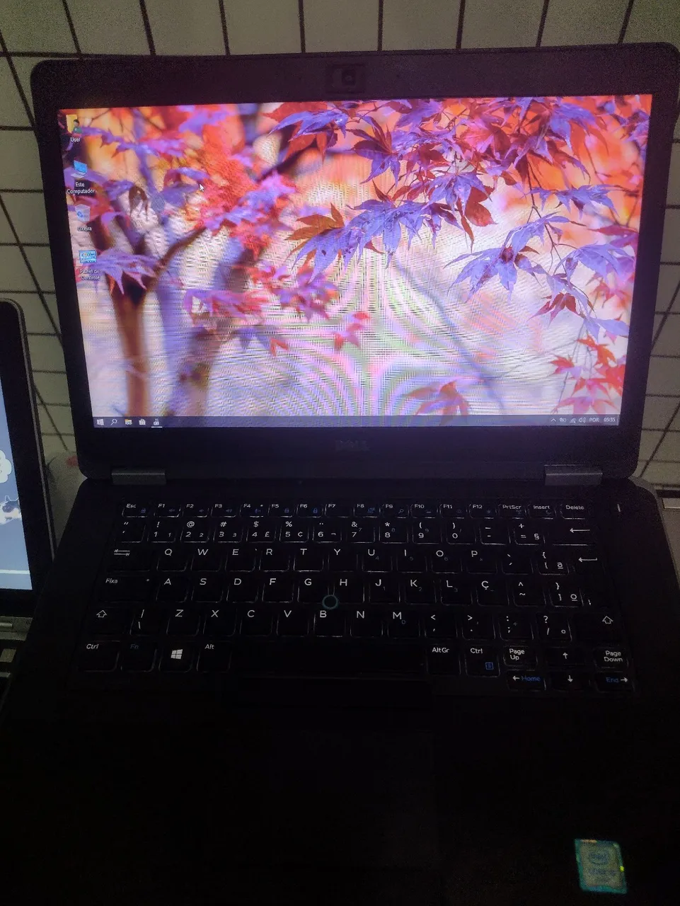 Notebook Dell