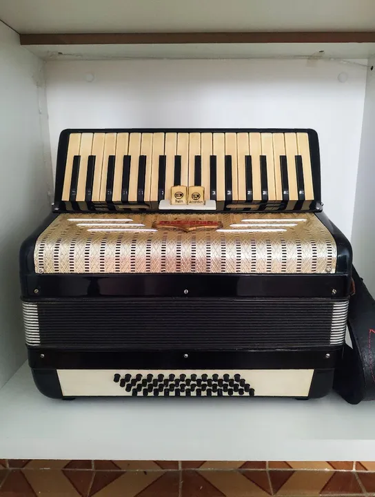Acordeon / sanfona Todeschini 48 baixos