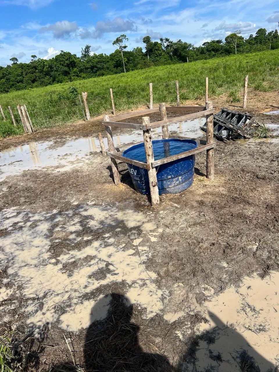 Fazenda de gado para venda com 154,8 hectares em Ipixuna do Pará - Foto 4