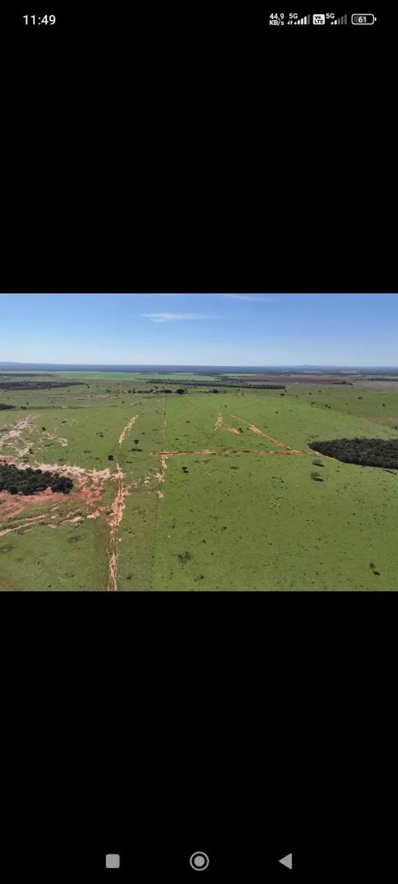 Fazendacde arrendar de 2.200 hec em planalto da serra MT.  - Foto 2