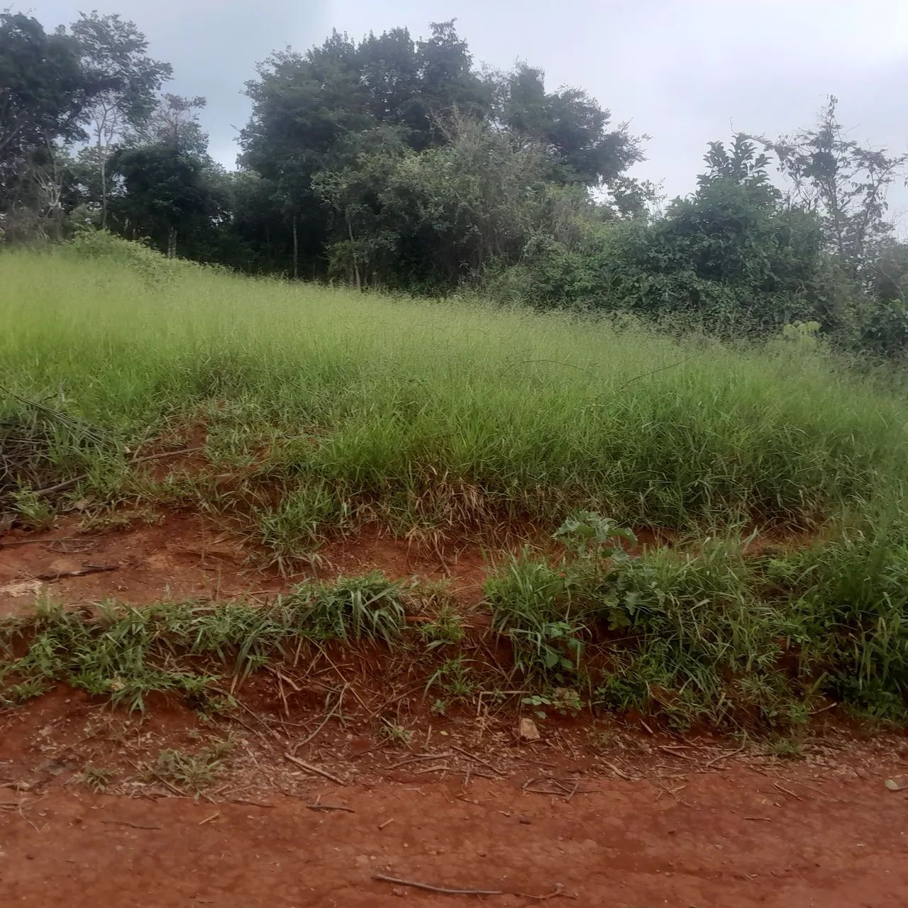 Lotes de 300 mts