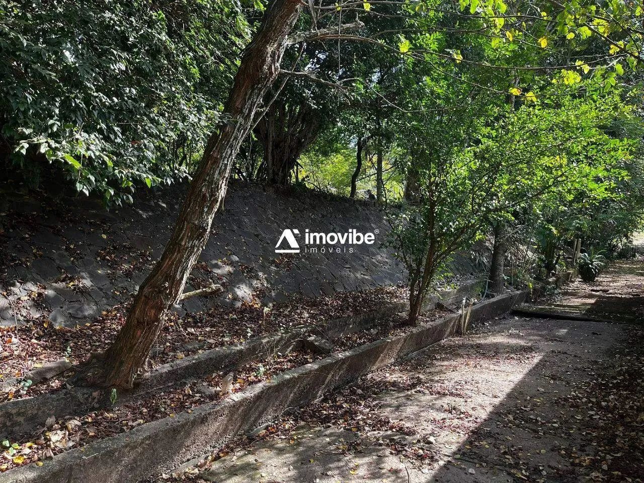 Chácara com 7.000m² com mata natural, casa 3 quartos avarandada, nascente natural - Limeir - Foto 3