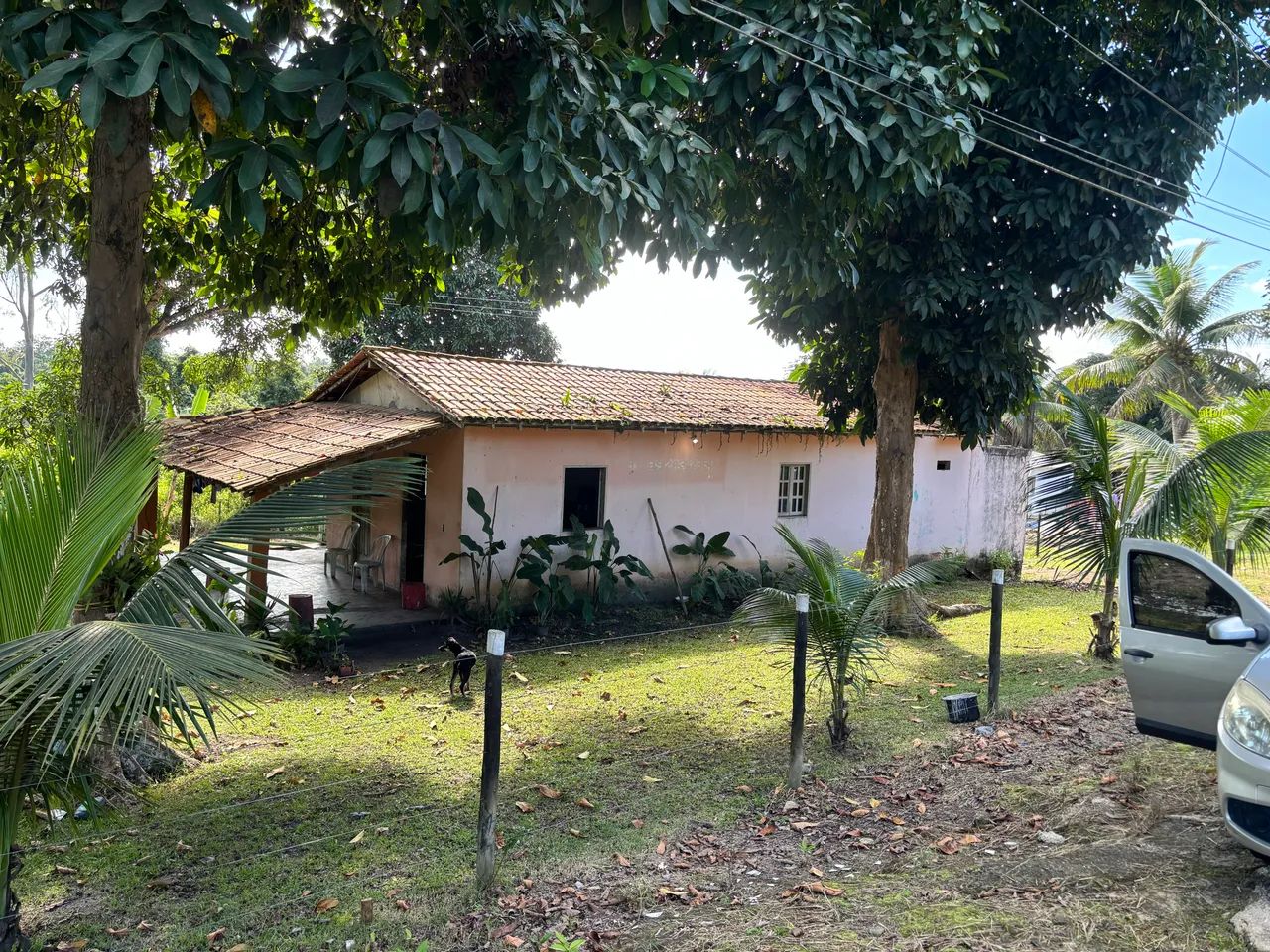 Venda se 12 hectares de terra  - Foto 2