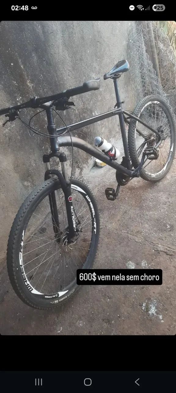 Bicicleta 29