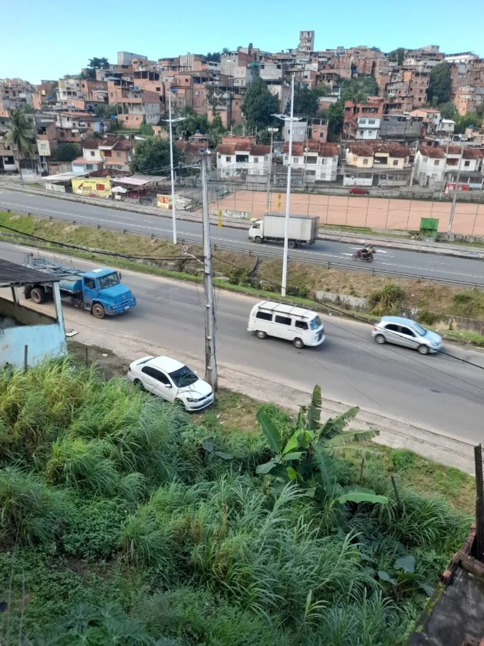 Pau da Lima