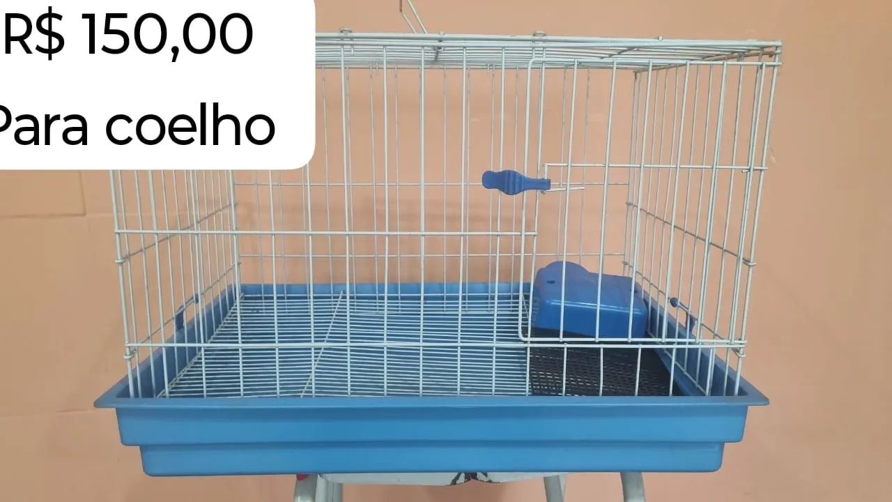 Gaiolas 65579489608323122
