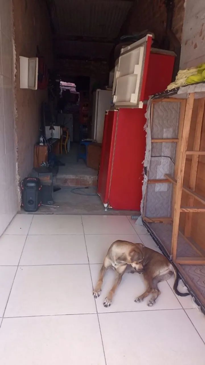 . Comercial - Foto 2