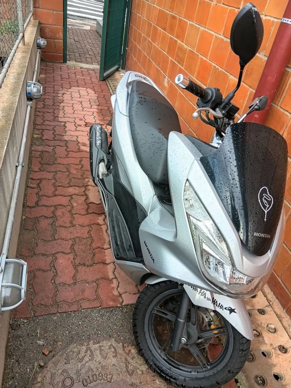 Pcx. - Foto 2