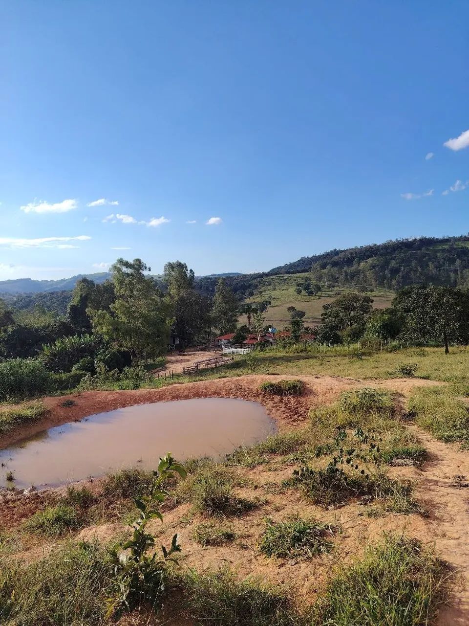 Fazenda Itaúna 78 hectares 