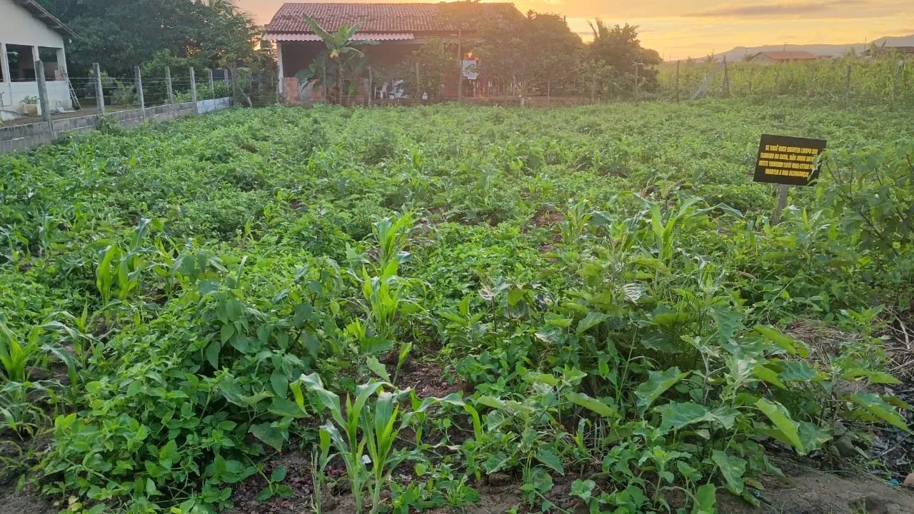 TERRENO EM TAQUARANA - Foto 2