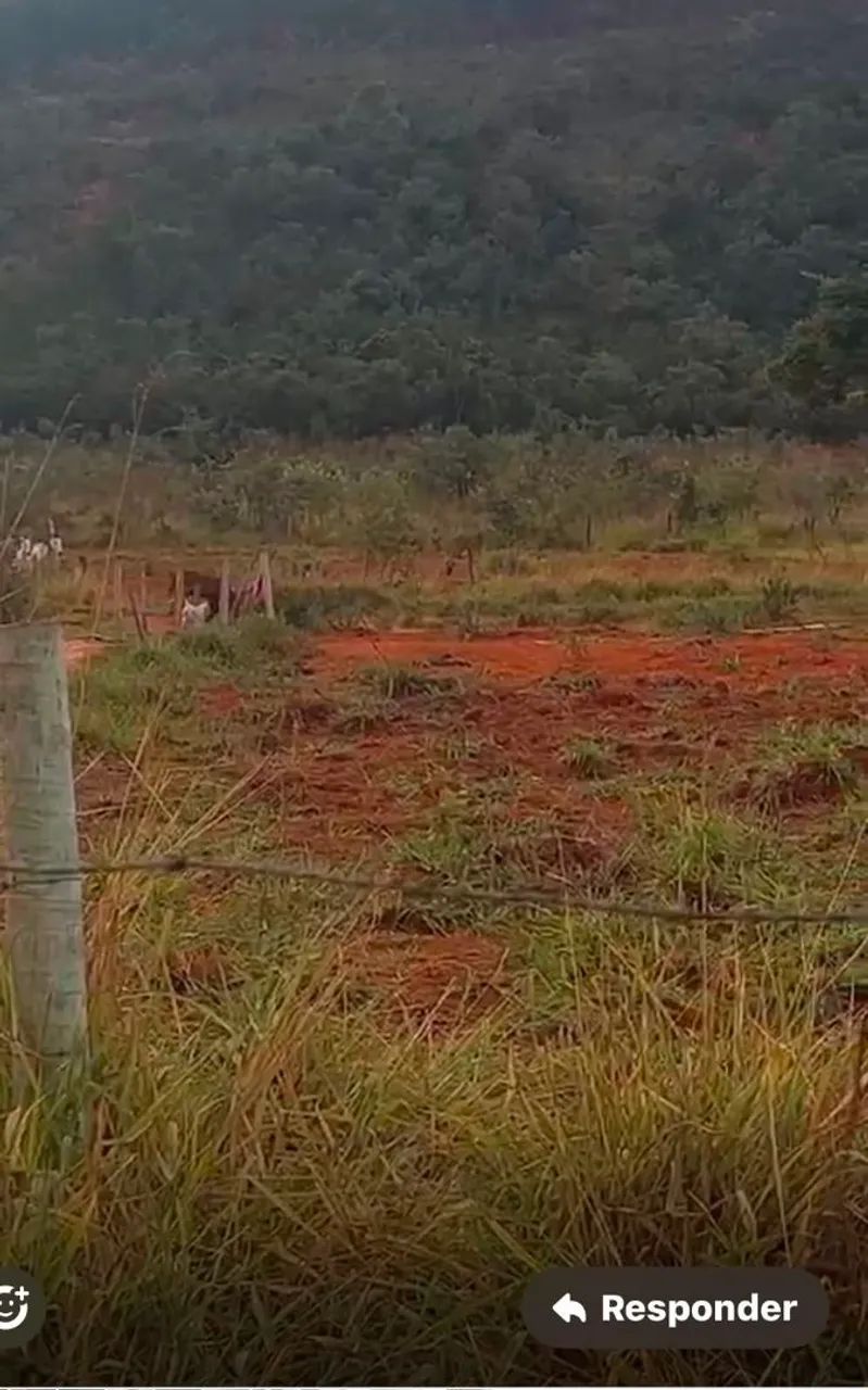 Sitio a venda Curvelo/Paraopeba - Foto 4
